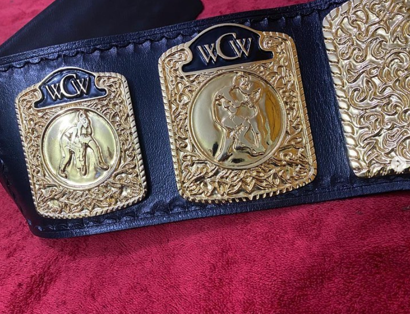 WCW World Television Championship 95