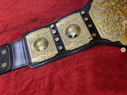 TNA World Heavyweight Championship