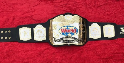 WWF TAG TEAM Championship