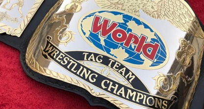 WWF TAG TEAM Championship