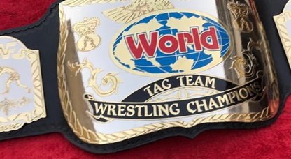 WWF TAG TEAM Championship