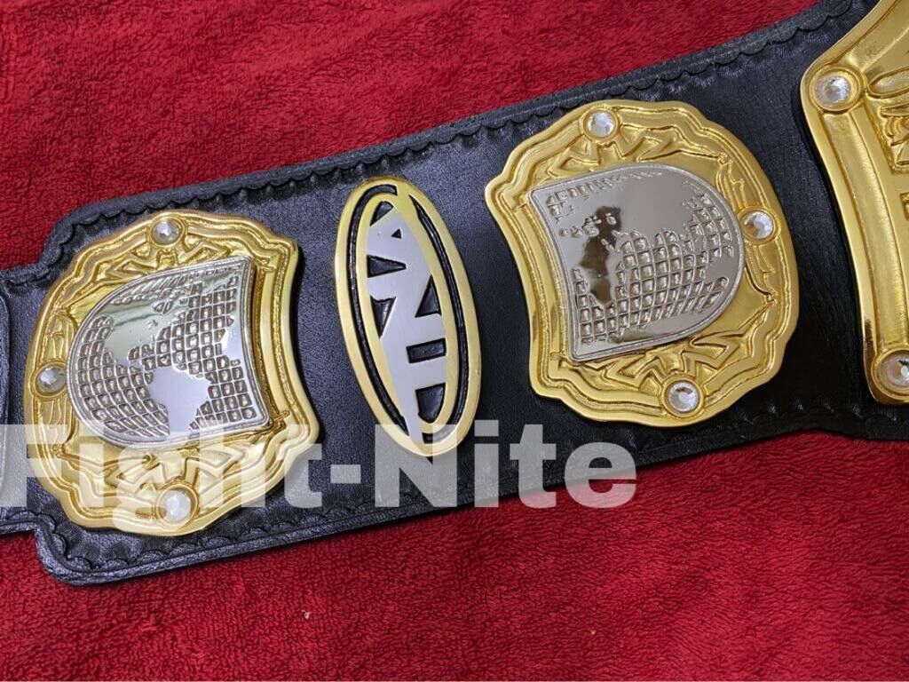 TNA Heavyweight Championship