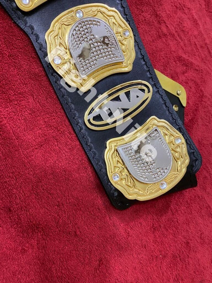 TNA Heavyweight Championship